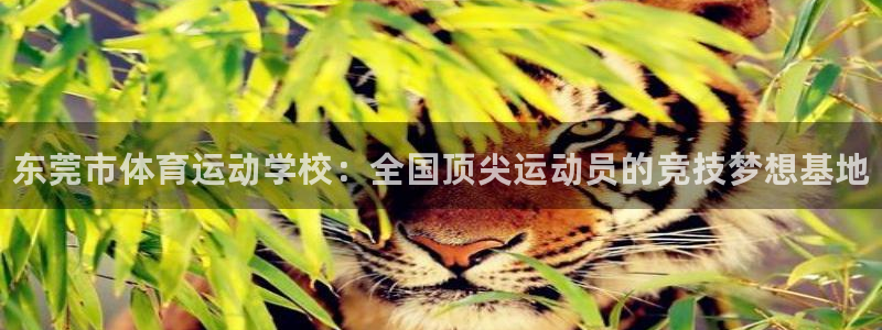注册一竞技官方正版app：东莞市体育运动学校：全国顶