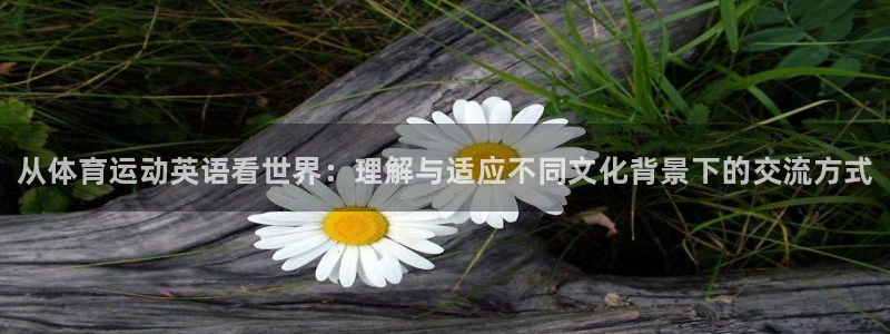 一竞技官网下载招商电话号码查询是多少：从体育运动英语