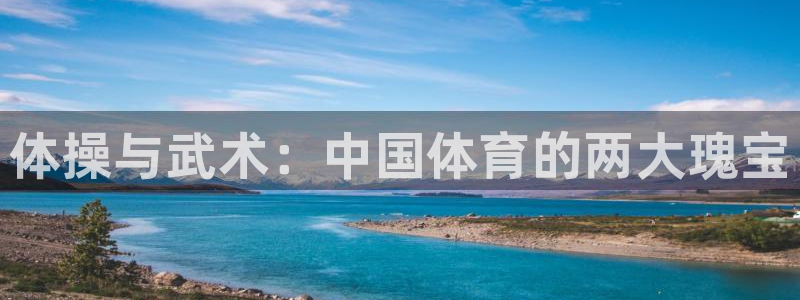 一竞技官方正版app娱乐首页官网下载：体操与武术：中