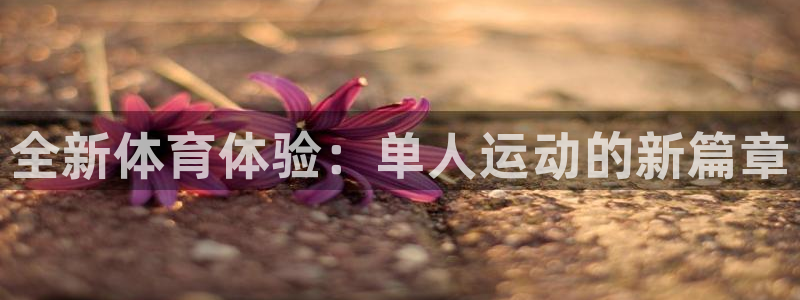 一竞技官网下载平台注册流程视频：全新体育体验：单人运动的新篇