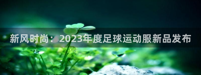海南一竞技官网下载：新风时尚：2023年度足球运动服