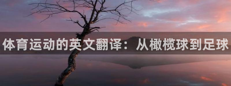 一竞技官方正版app集团官网首页网址：体育运动的英文
