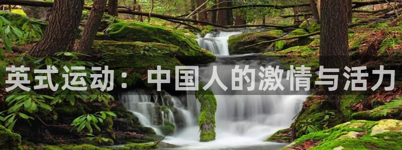 一竞技官方正版app娱乐首页网站大全