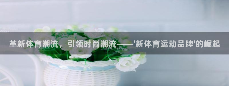 一竞技官网下载平台注册要钱吗安全吗：革新体育潮流，引