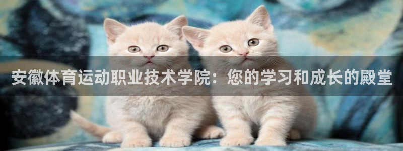 一竞技官方正版app娱乐是那个系列的台子：安徽体育运动职业技