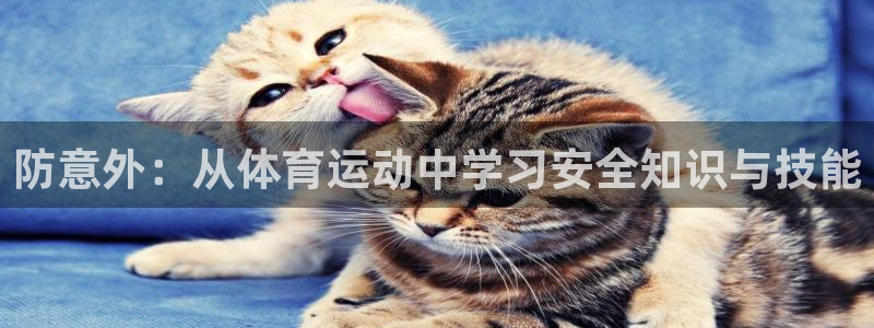 一竞技官网下载：防意外：从体育运动中学习安全知识与技能