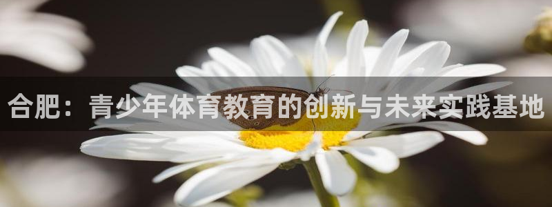 一竞技官网下载平台APP：合肥：青少年体育教育的创新与未来实