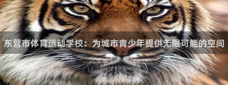 一竞技官网下载招商电话：东营市体育运动学校：为城市青少年提供