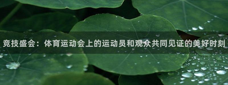 一竞技官网下载软件：竞技盛会：体育运动会上的运动员和观众共同