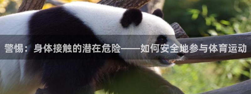 一竞技官方正版app集团E.ON：警惕：身体接触的潜在危险—