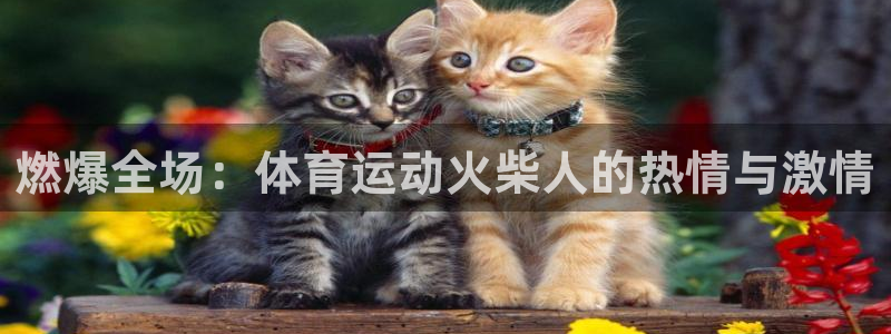 一竞技官网下载注册：燃爆全场：体育运动火柴人的热情与