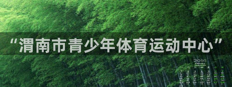 一竞技官方正版app代理：“渭南市青少年体育运动中心