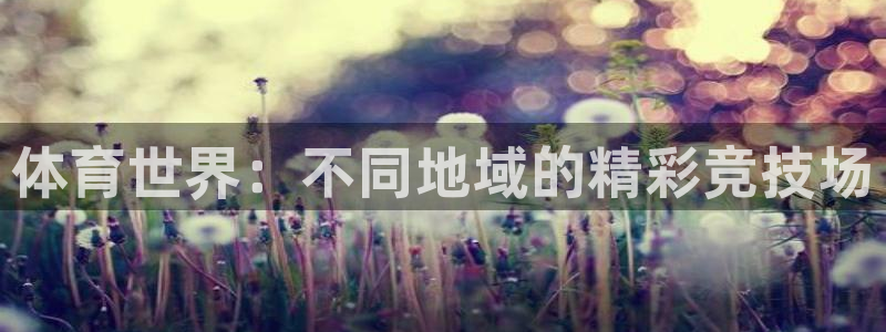 一竞技官网下载官方客服电话：体育世界：不同地域的精彩