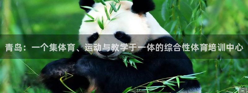 一竞技官网下载是干嘛的公司：青岛：一个集体育、运动与教学于一