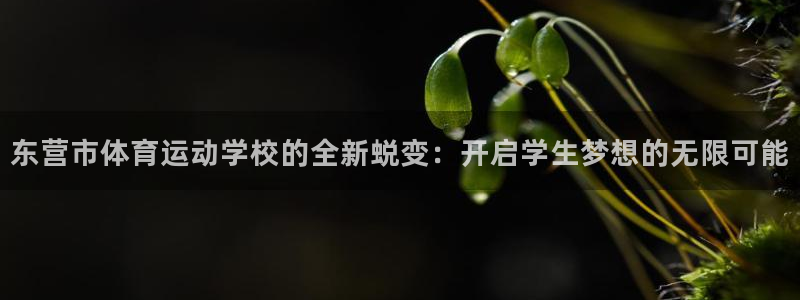德国一竞技官方正版app集团：东营市体育运动学校的全新蜕变：