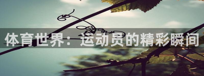 一竞技官网下载平台注册流程视频：体育世界：运动员的精