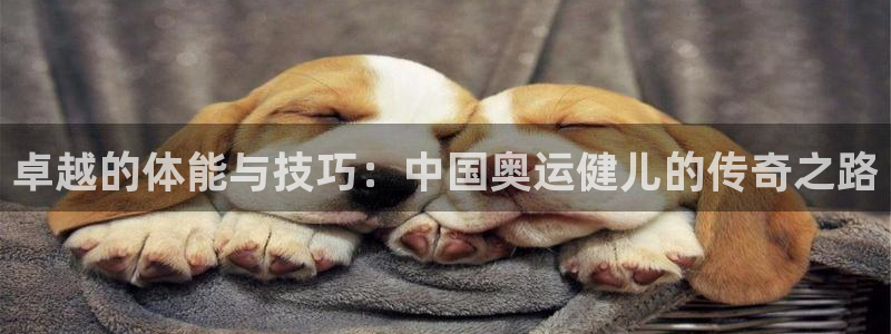 一竞技官方平台体育