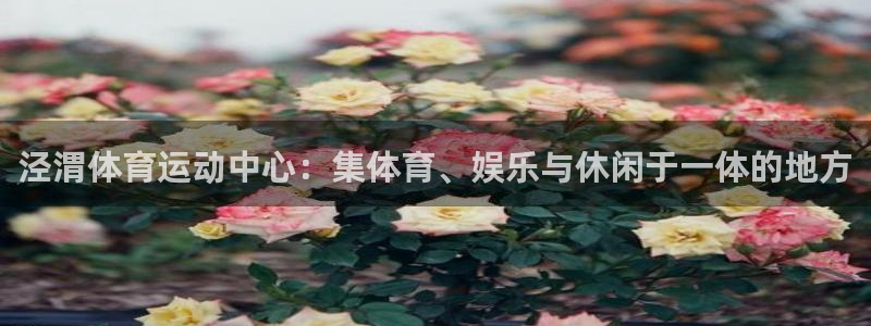 一竞技官网下载招商：泾渭体育运动中心：集体育、娱乐与