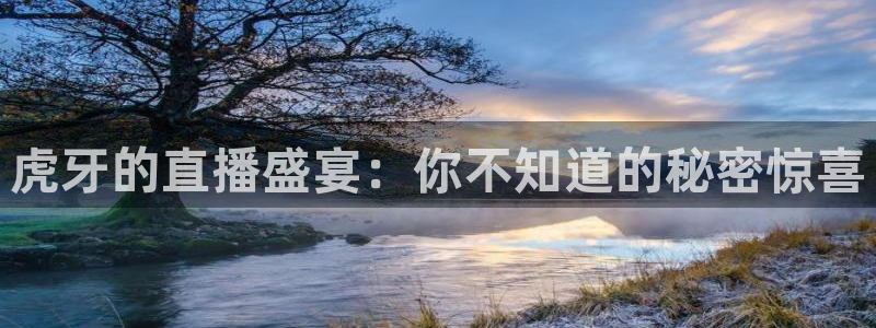 新360雨燕直播：虎牙的直播盛宴：你不知道的秘密惊喜