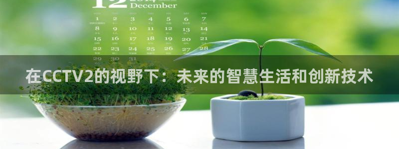 雨燕免费高清体育直播