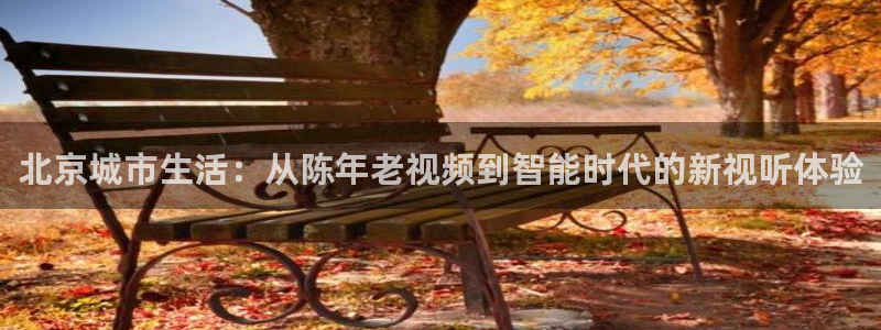 雨燕直播看球