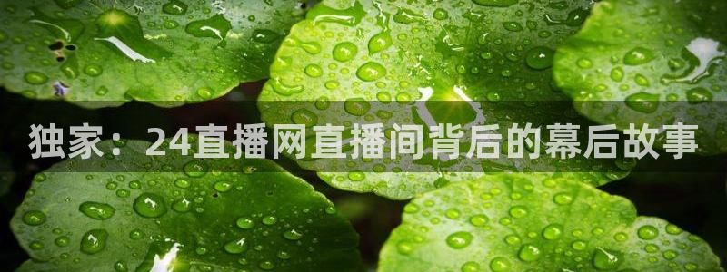 360雨燕免费直播nba：独家：24直播网直播间背后的幕后故事