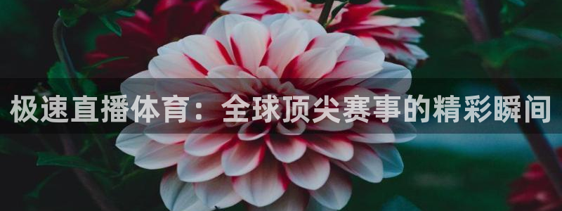 雨燕360体育免费直播高清视频大全山