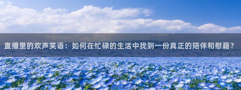 雨燕nba直播
