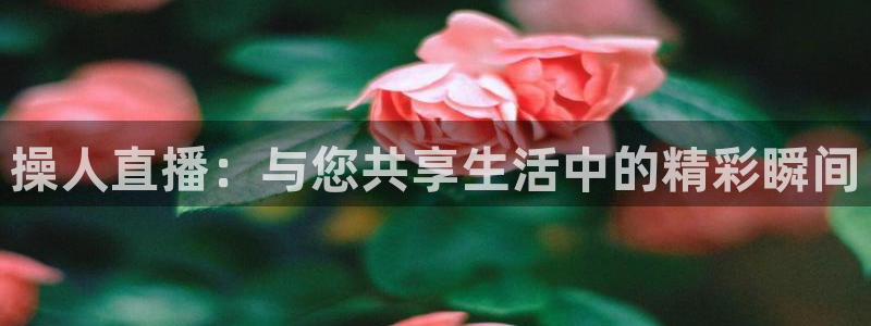 857雨燕直播体育