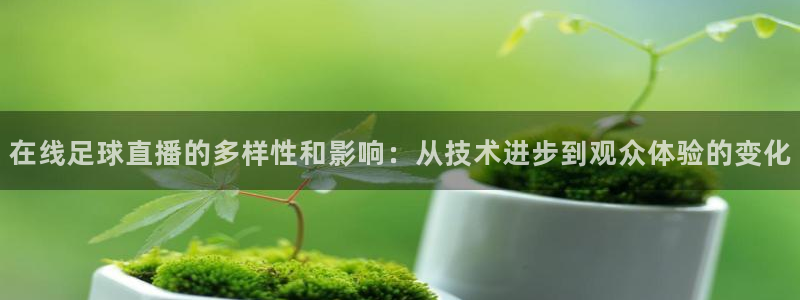 nba雨燕直播体育：在线足球直播的多样性和影响：从技术进步到观众体验的变化