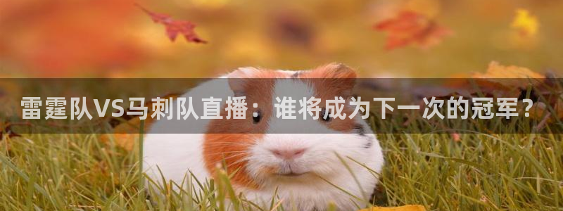 雨燕体育直播无插件高清看球：雷霆队VS马刺队直播：谁将成为下一次的冠军？