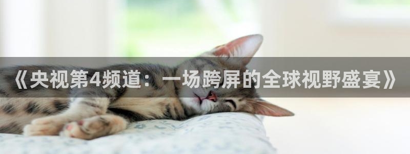 雨燕体育赛事在线直播下载：《央视第4频道：一场跨屏的全球视野盛宴》