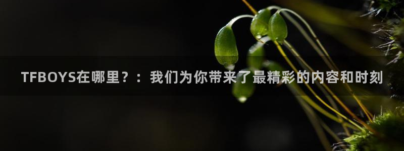 雨燕体育直播nba：TFBOYS在哪里？：我们为你带来了最精彩的内容和时刻