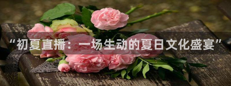 雨燕篮球直播nba在线直播：“初夏直播：一场生动的夏日文化盛宴”