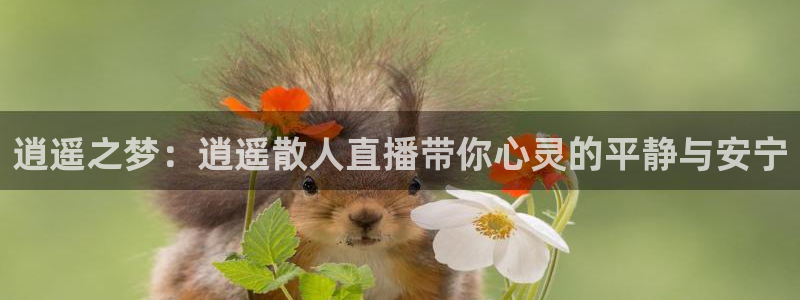 雨燕体育足球高清直播：逍遥之梦：逍遥散人直播带你心灵的平静与安宁