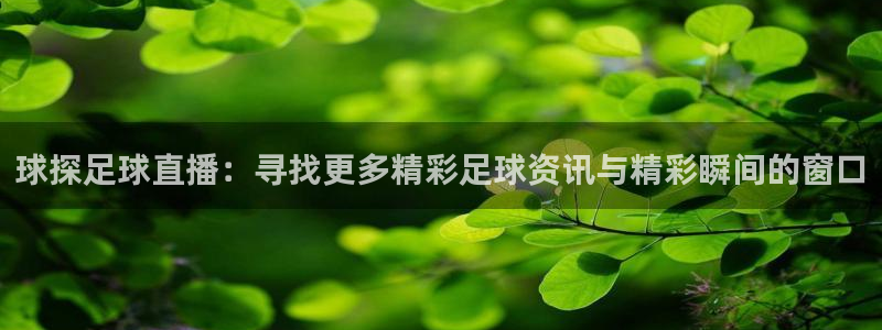 雨燕足球比赛直播