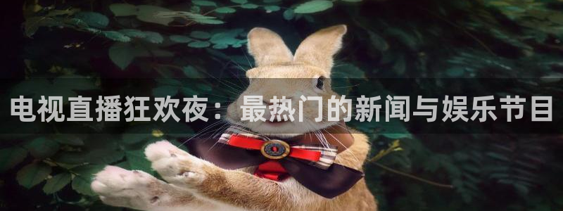 360雨燕直播吧免费直播：电视直播狂欢夜：最热门的新闻与娱乐节目