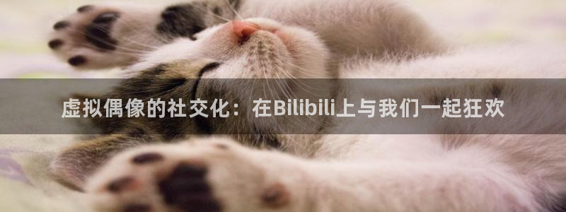 雨燕体育直播平台：虚拟偶像的社交化：在Bilibili上与我们一起狂欢